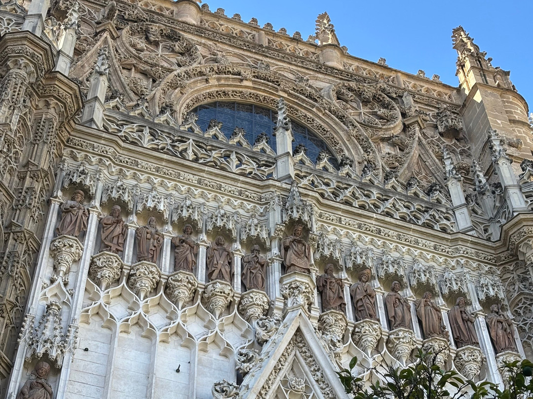 All Sevilla Guided Tours-塞维利亚必去景点