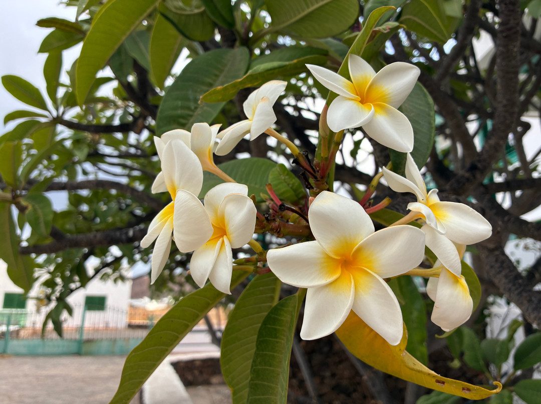 B&B Hotelito El Campo