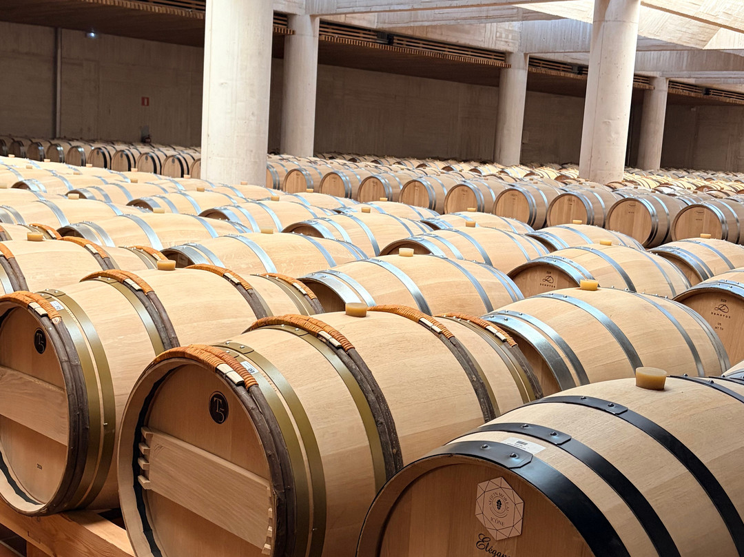 Pago de Carraovejas Winery-Penafiel必去景点