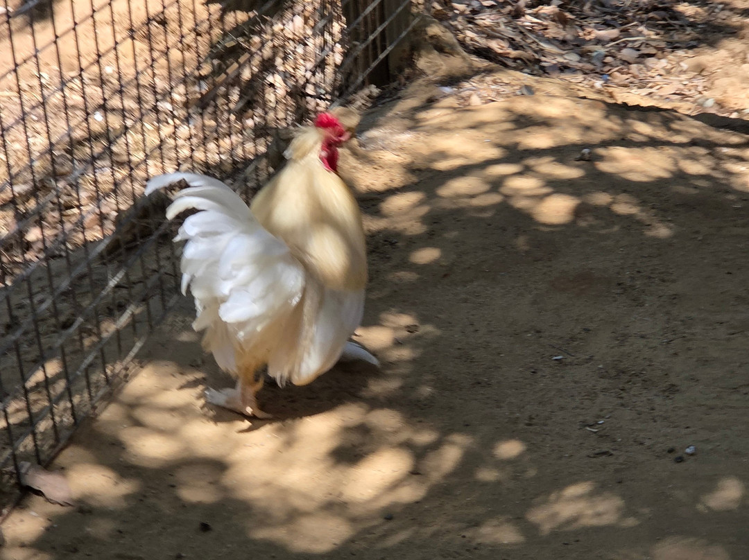 Zoo de Castellar-Castellar de la Frontera必去景点
