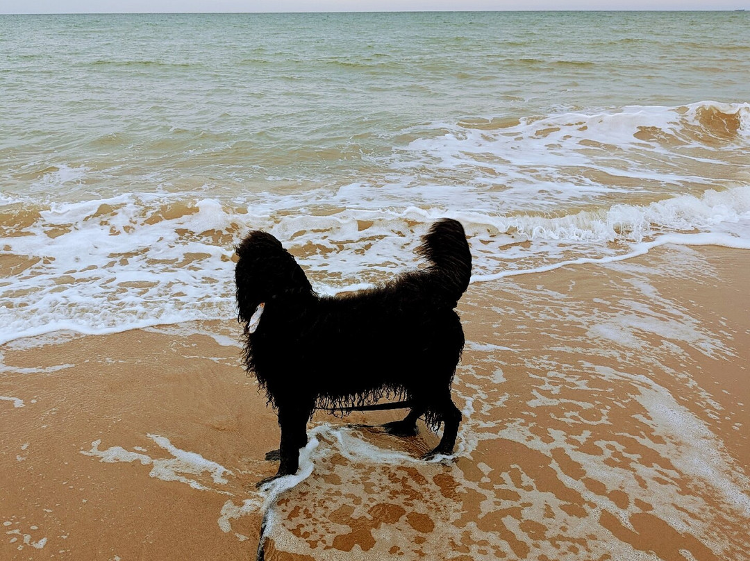 Bacton Beach-Bacton必去景点