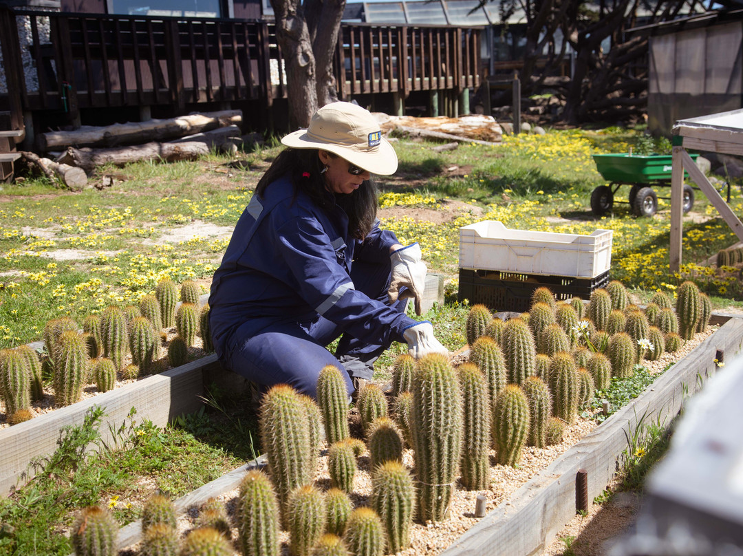 Parque Punta De Lobos-皮钦勒姆必去景点