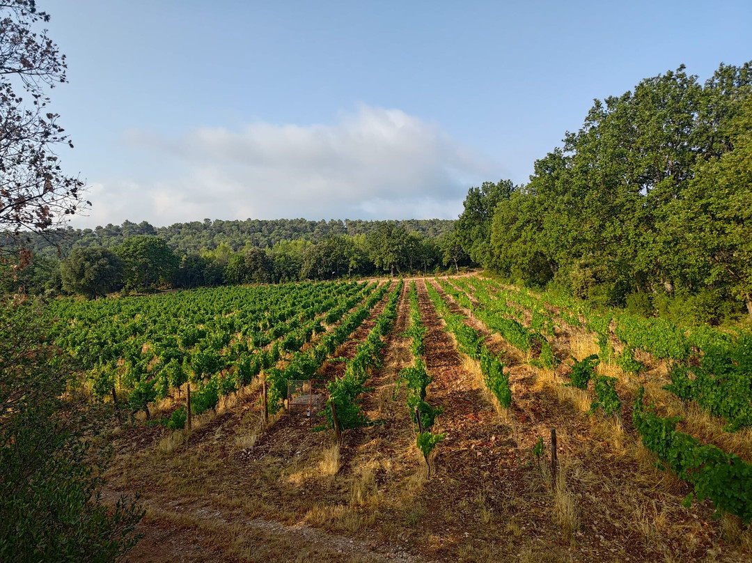 Domaine de Deffends-Saint-Maximin-la-Sainte-Baume必去景点