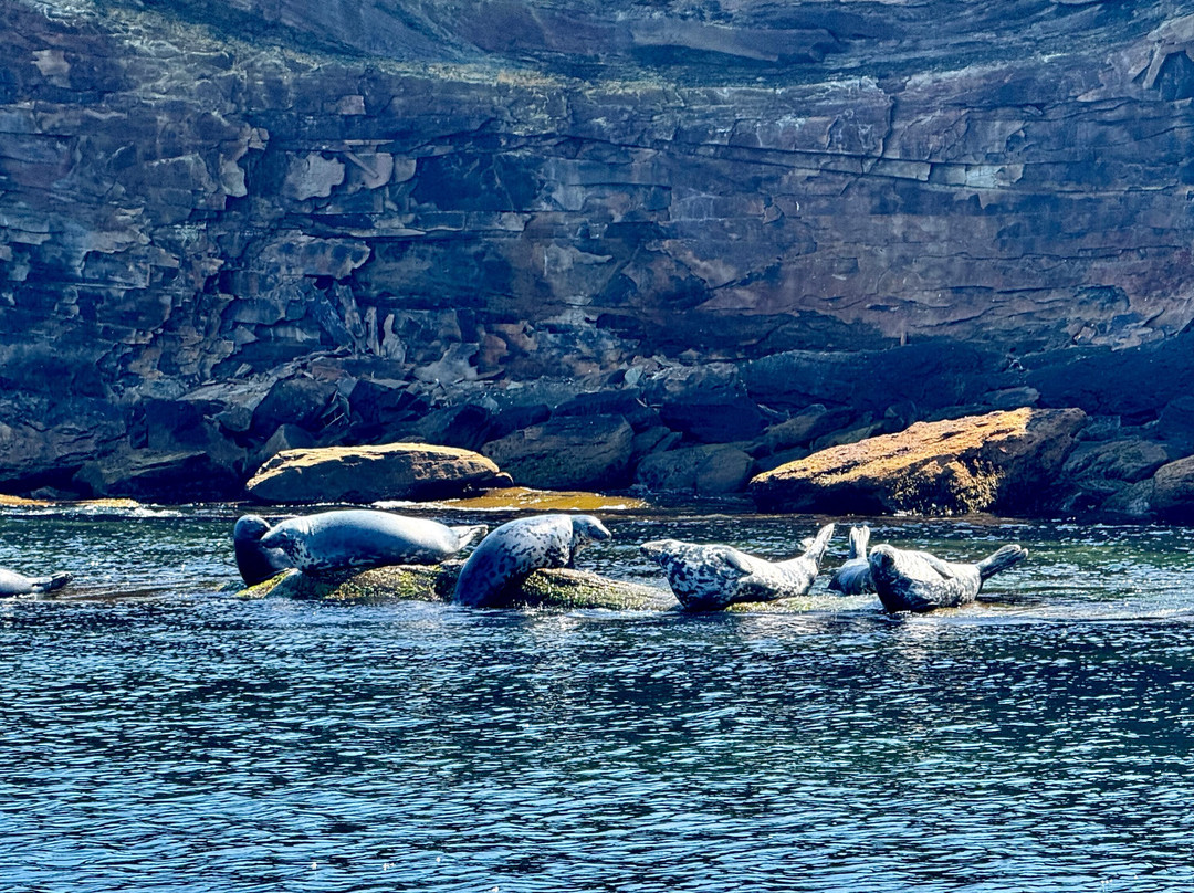 Bird Island Boat Tour-Big Bras d'Or必去景点