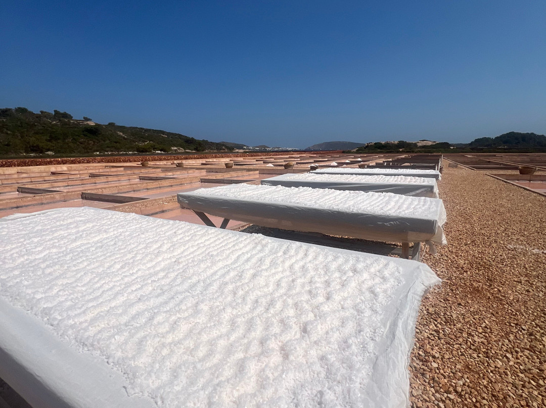 Sal de Menorca - Salinas de La Concepción-Mercadal必去景点