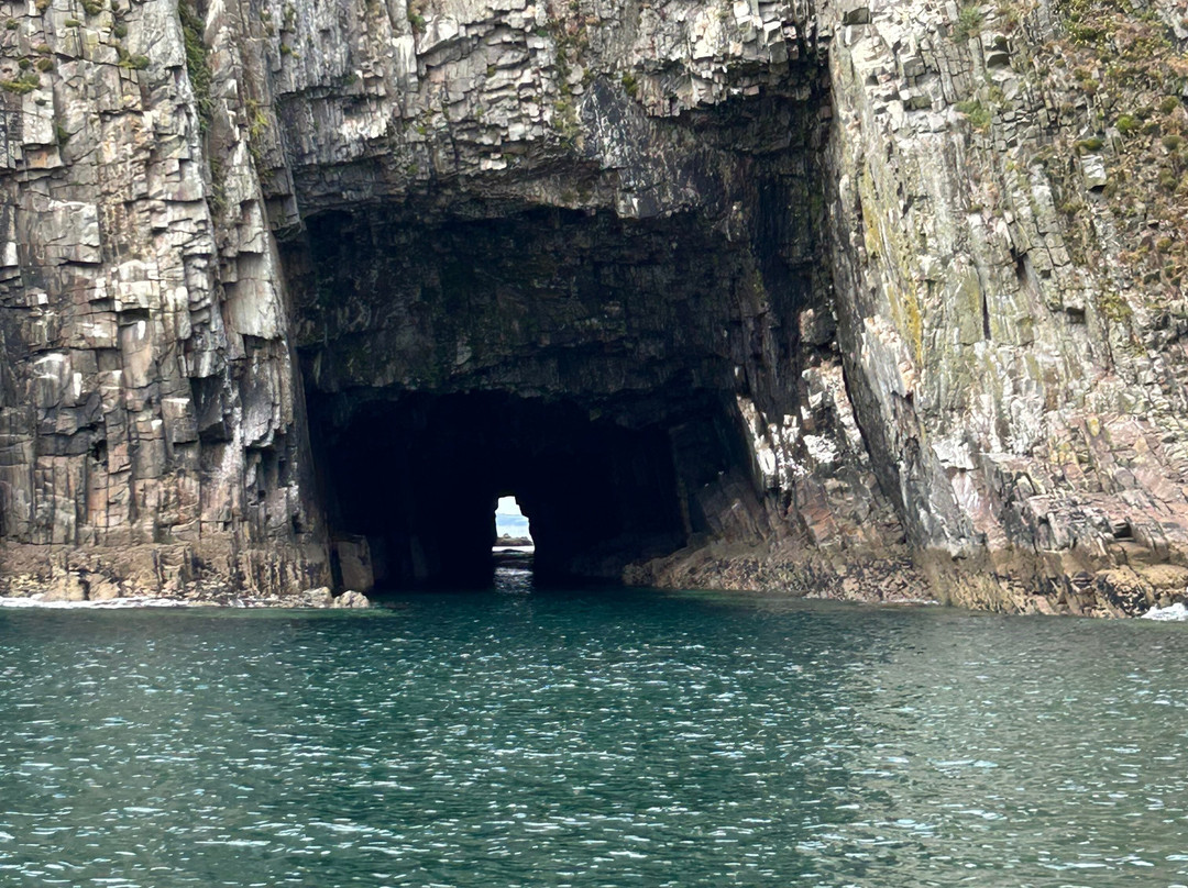 Atlantic Whale and Wildlife Tours-Courtmacsherry必去景点