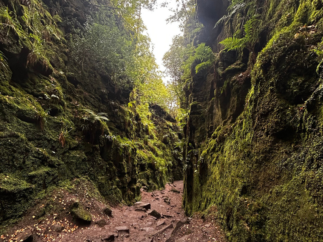 Lud's Church-Gradbach必去景点