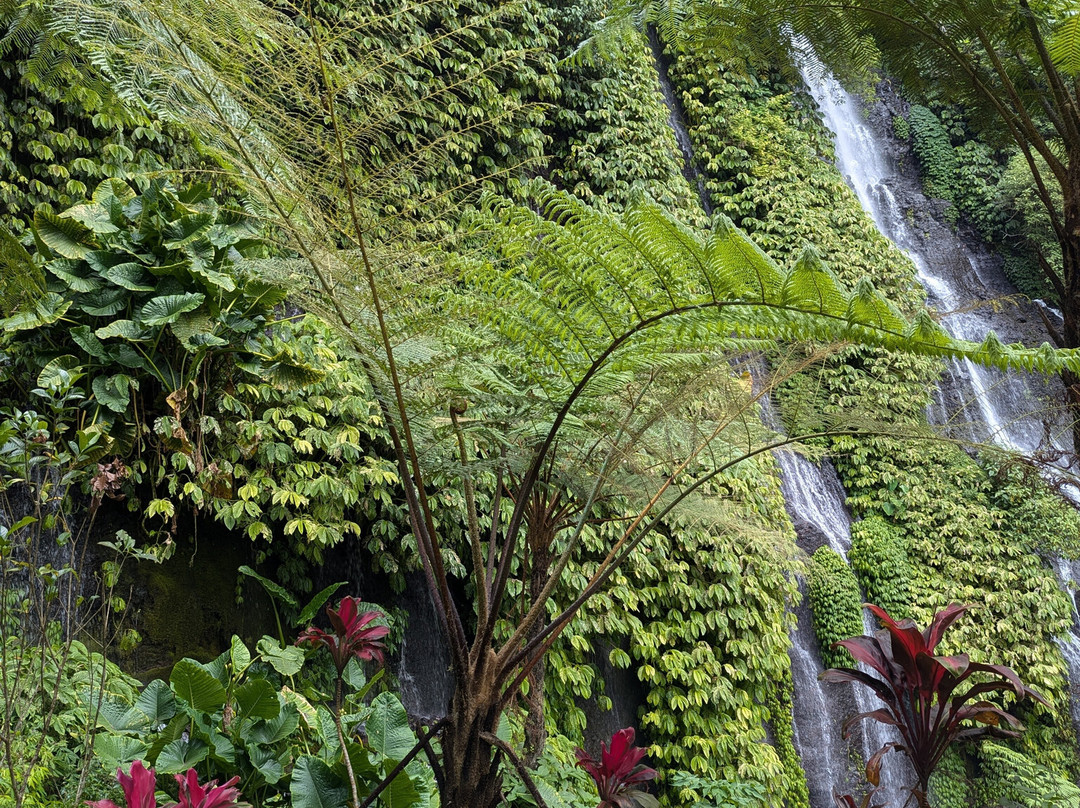 Bali Life Tours-乌布必去景点