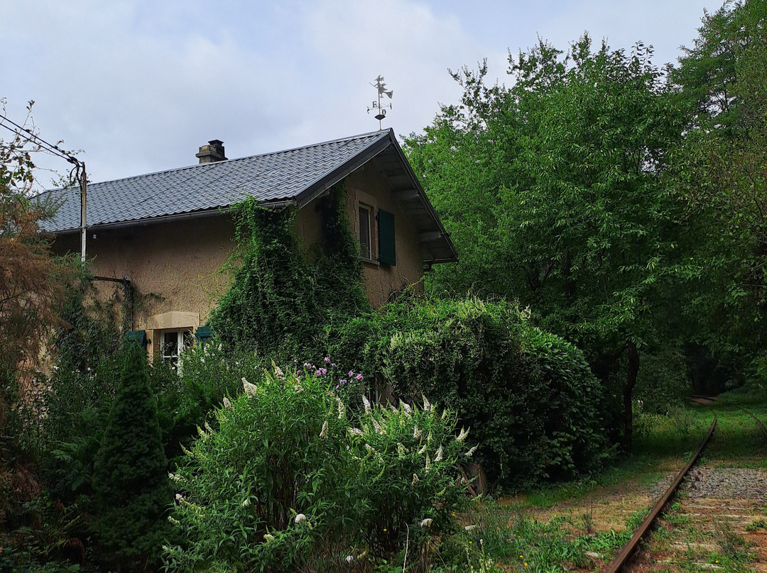 Pédalorail Electrique du Grand Pays de Salers-Ally必去景点
