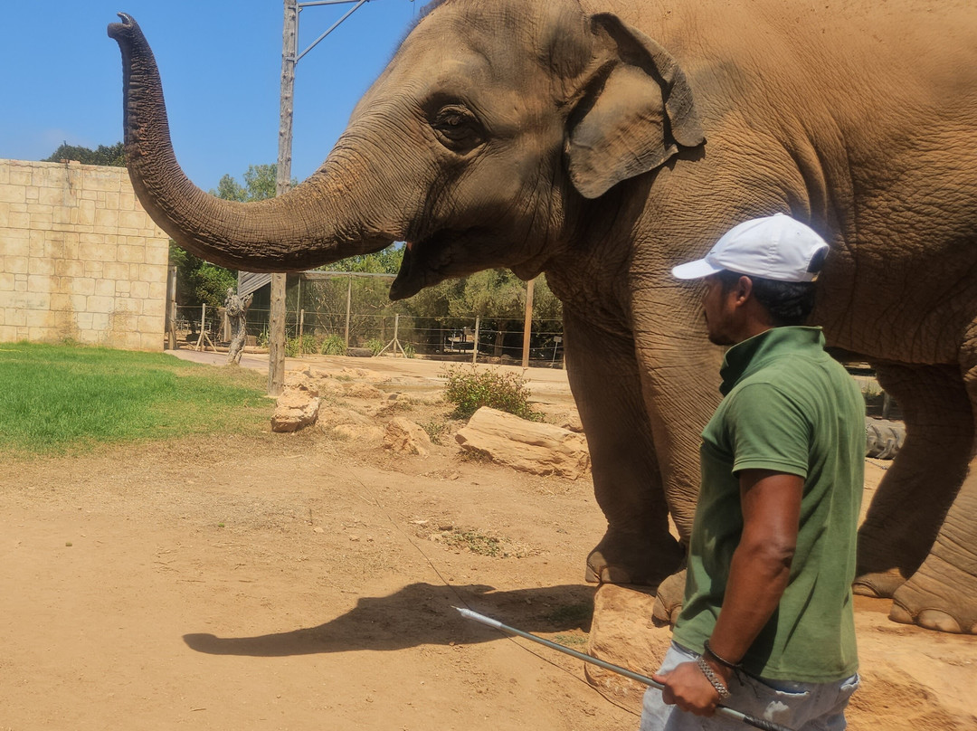 Pafos Zoo-帕福斯必去景点