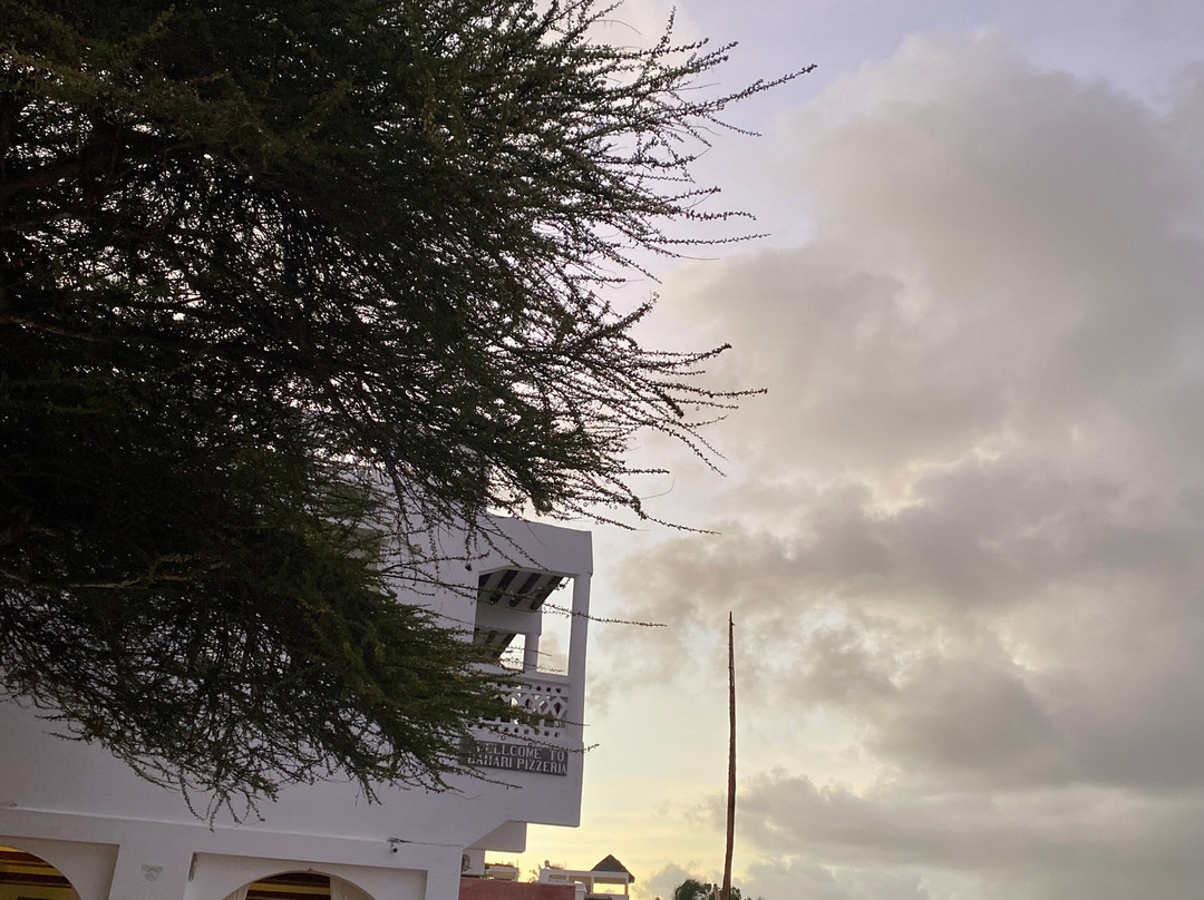 Lamu Outdoor Tour-Lamu必去景点