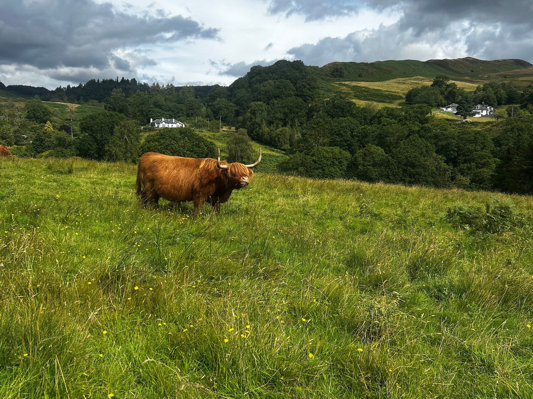 Nether Glenny Farm - Coos and Views-斯特灵必去景点