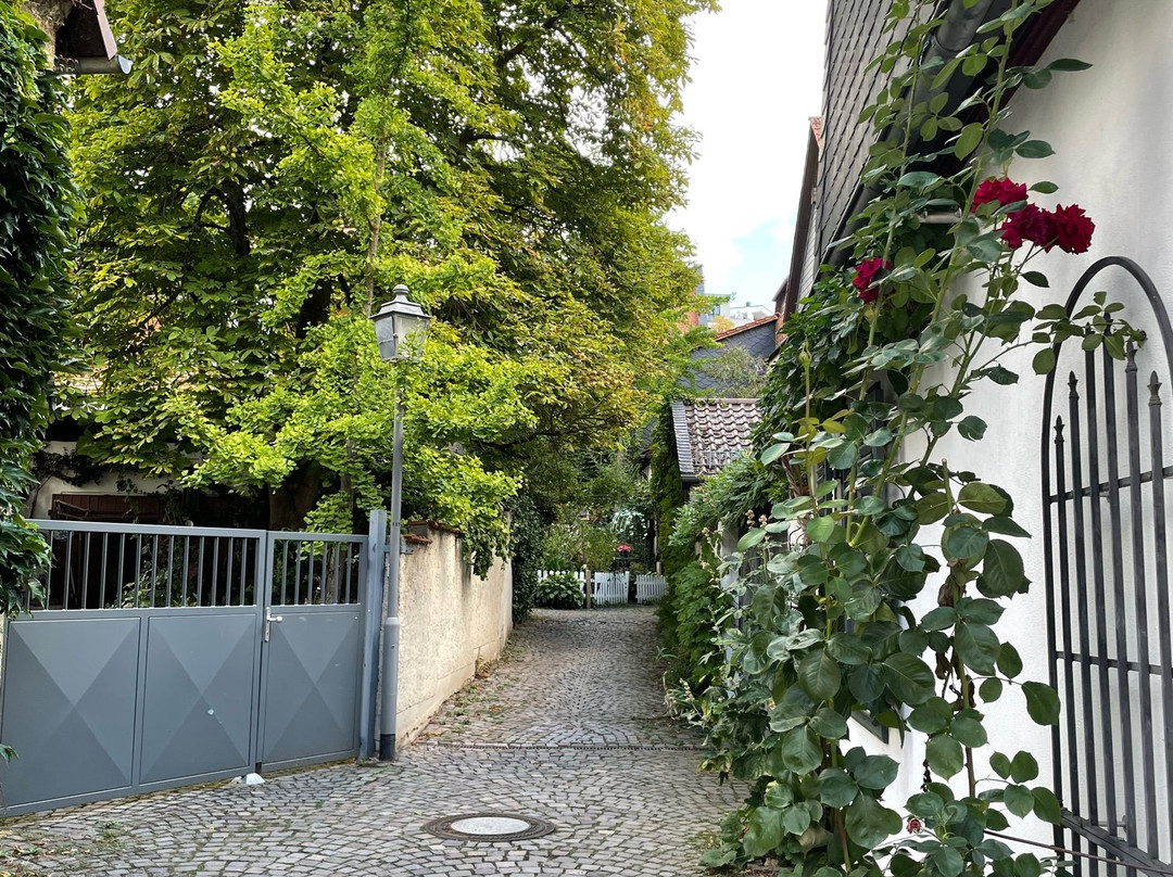 Idsteiner Altstadt-伊德斯坦因必去景点
