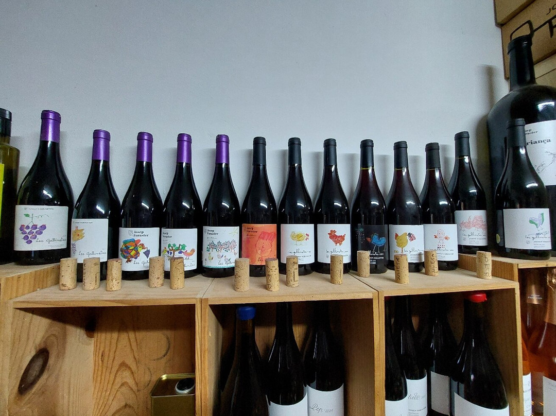 Celler Mas Foraster-Montblanc必去景点