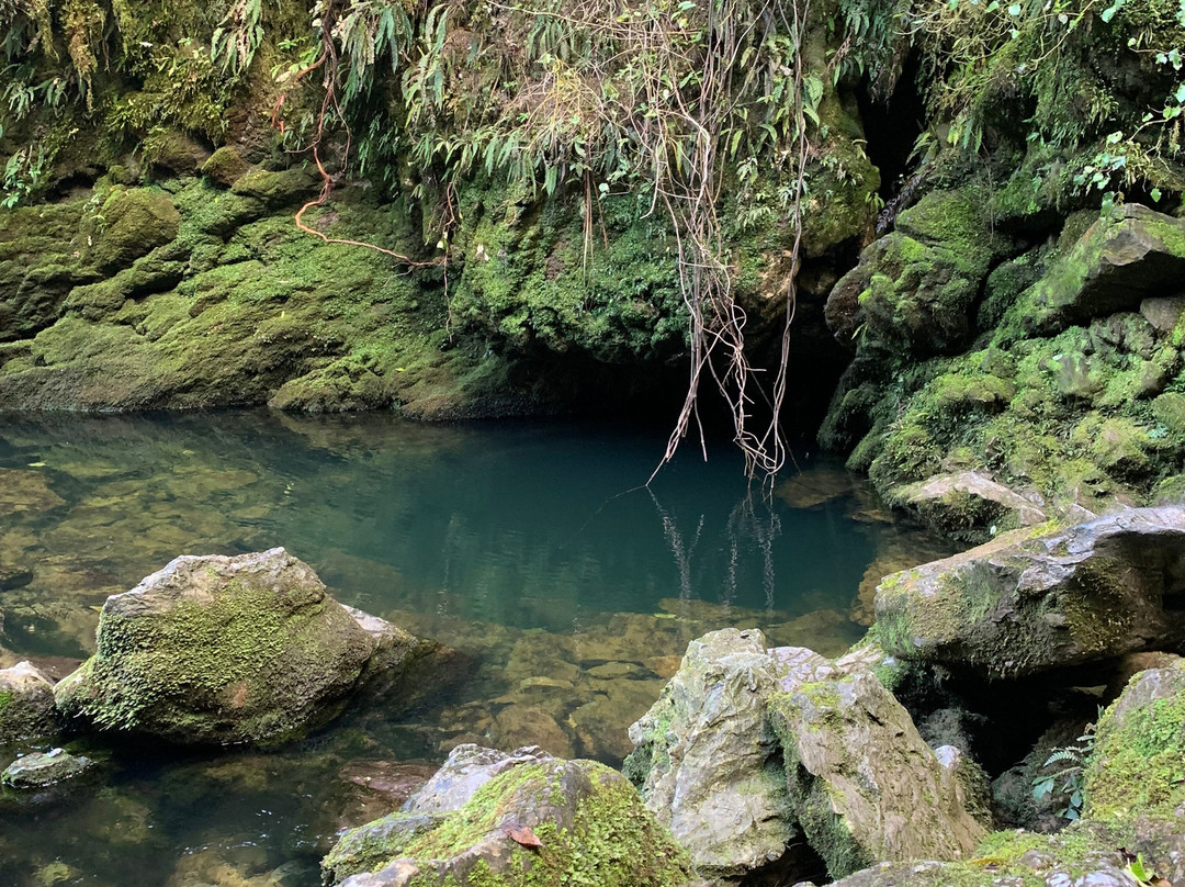 Riwaka Resurgence-Kahurangi National Park必去景点