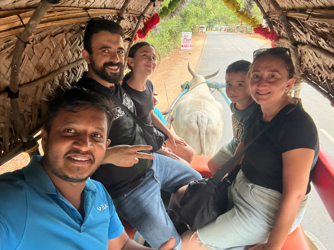 Chathu Lanka Tours-康提必去景点