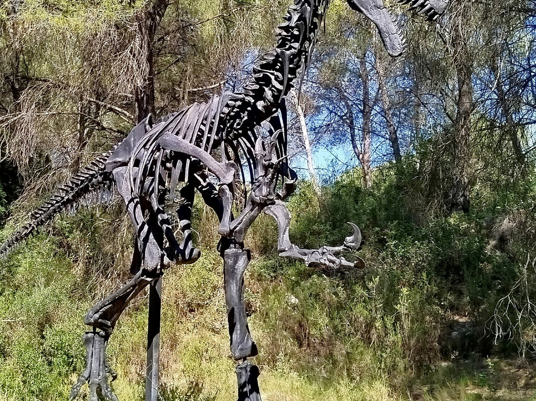 Musee - Parc des Dinosaures-Meze必去景点