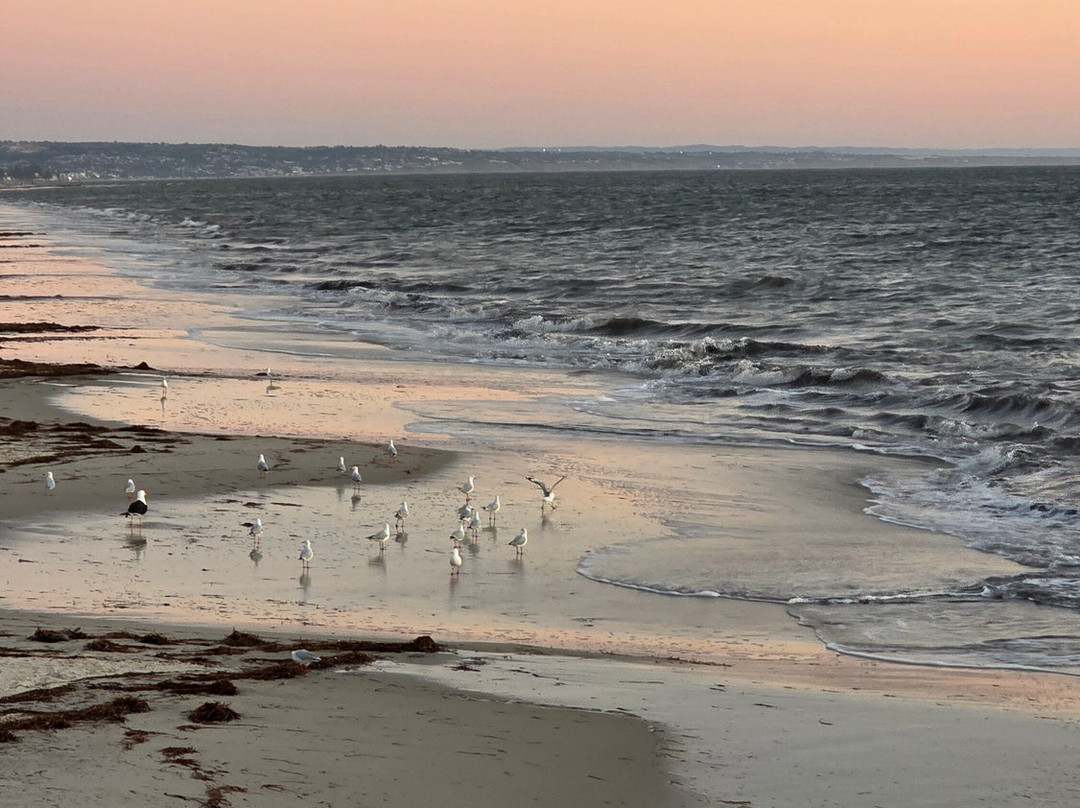 Henley Square-Henley Beach必去景点