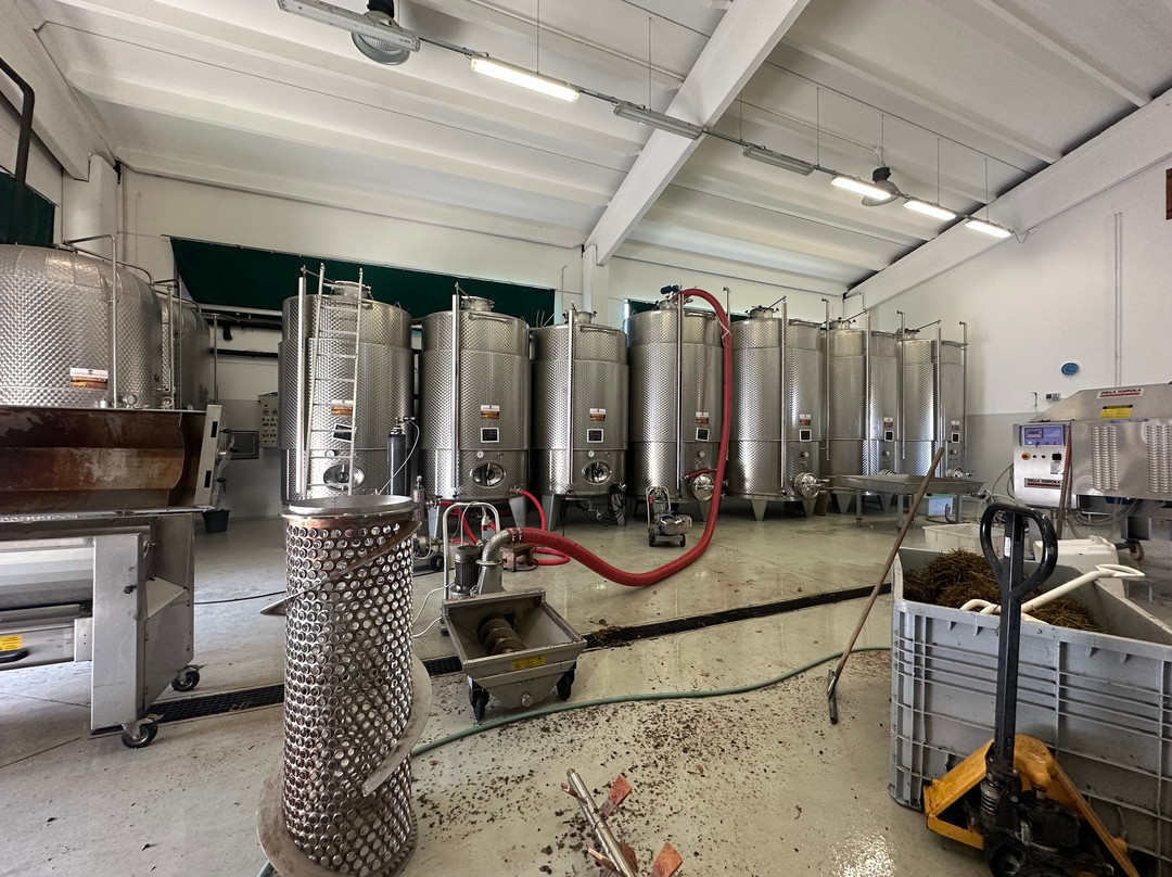 Cantina Il Poggio-萨尔索马焦雷泰尔梅必去景点