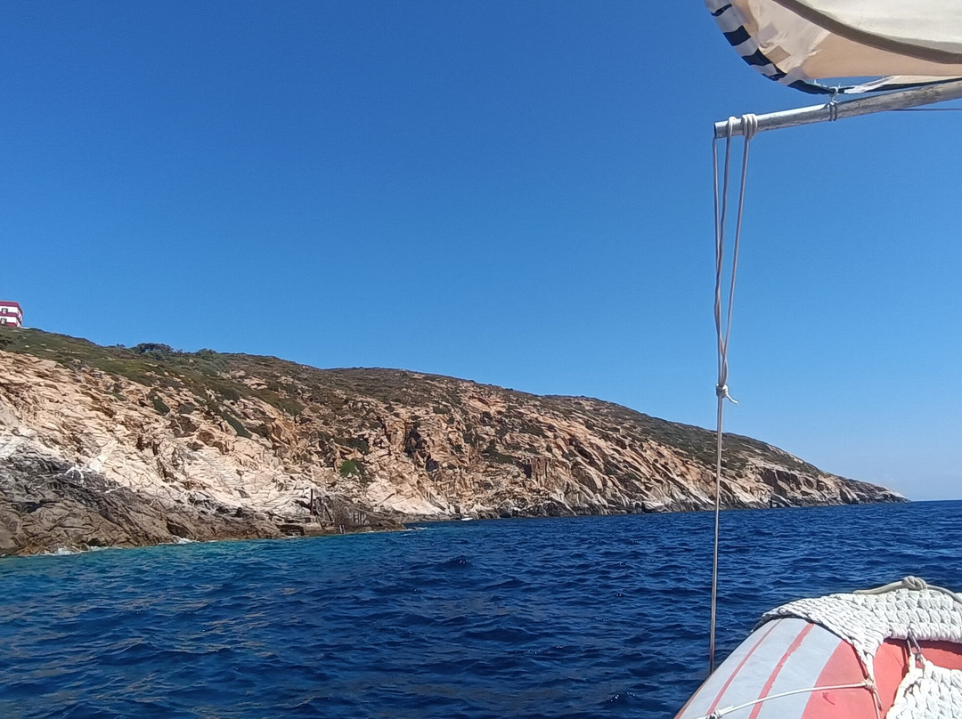 Max Shark Diving-Isola del Giglio必去景点