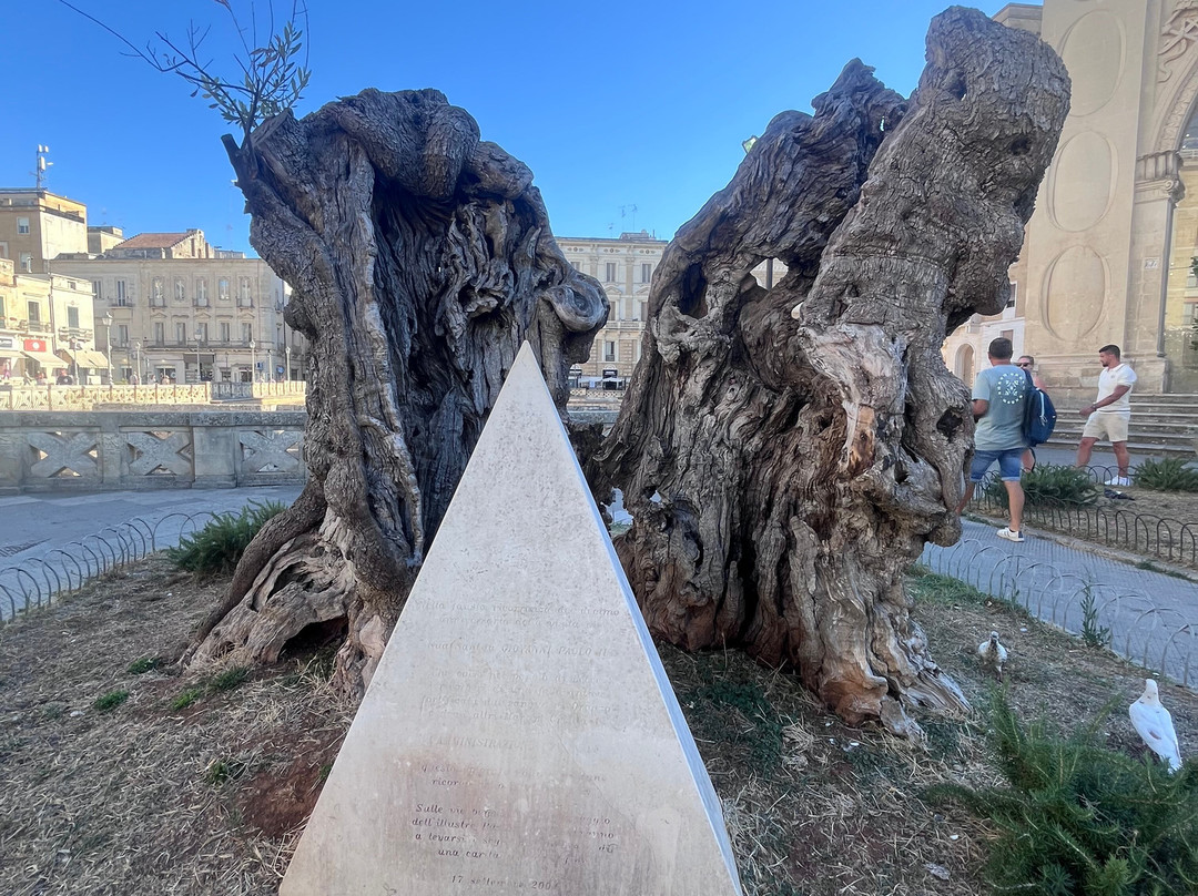 Centro Storico, Lecce-莱切必去景点