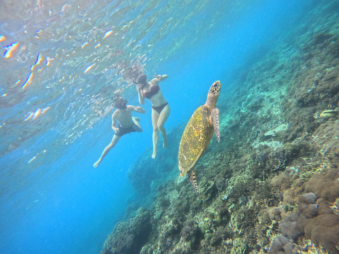 Lembongan Go Trip-克隆孔必去景点