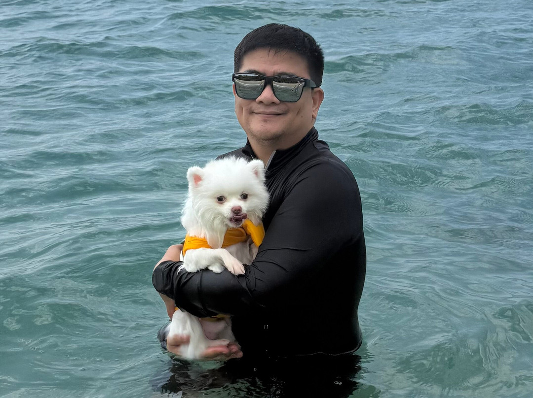 维金海滩度假村主图