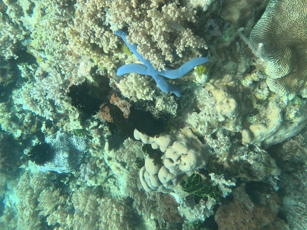 Blow Bubbles Divers-Desa Sekotong Barat必去景点