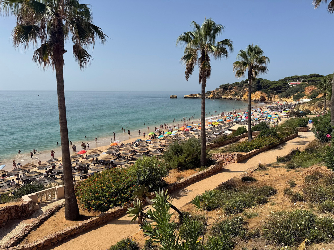 Praia de Santa Eulalia-阿尔布赞拉必去景点