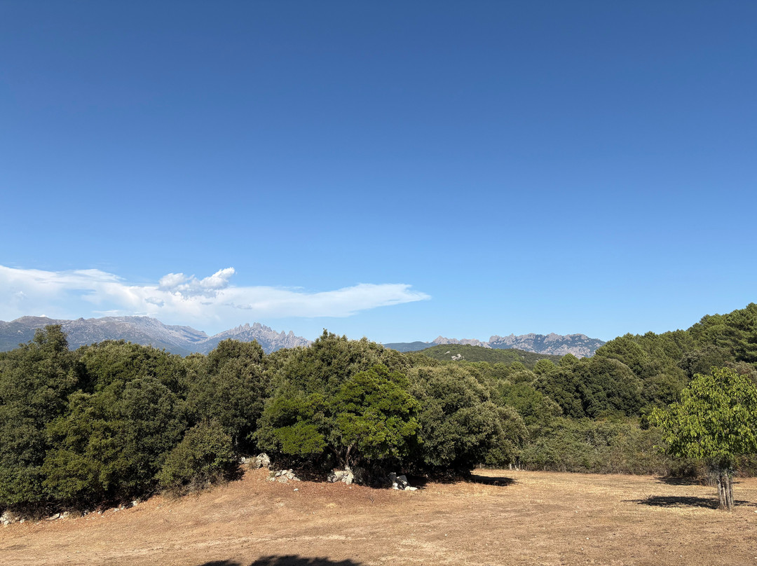 Site archéologique de Cucuruzzu-Levie必去景点