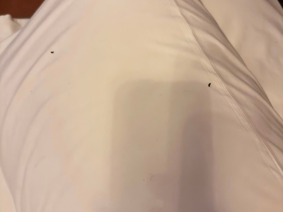 莫林诺瓜特罗帕拉达斯酒店主图