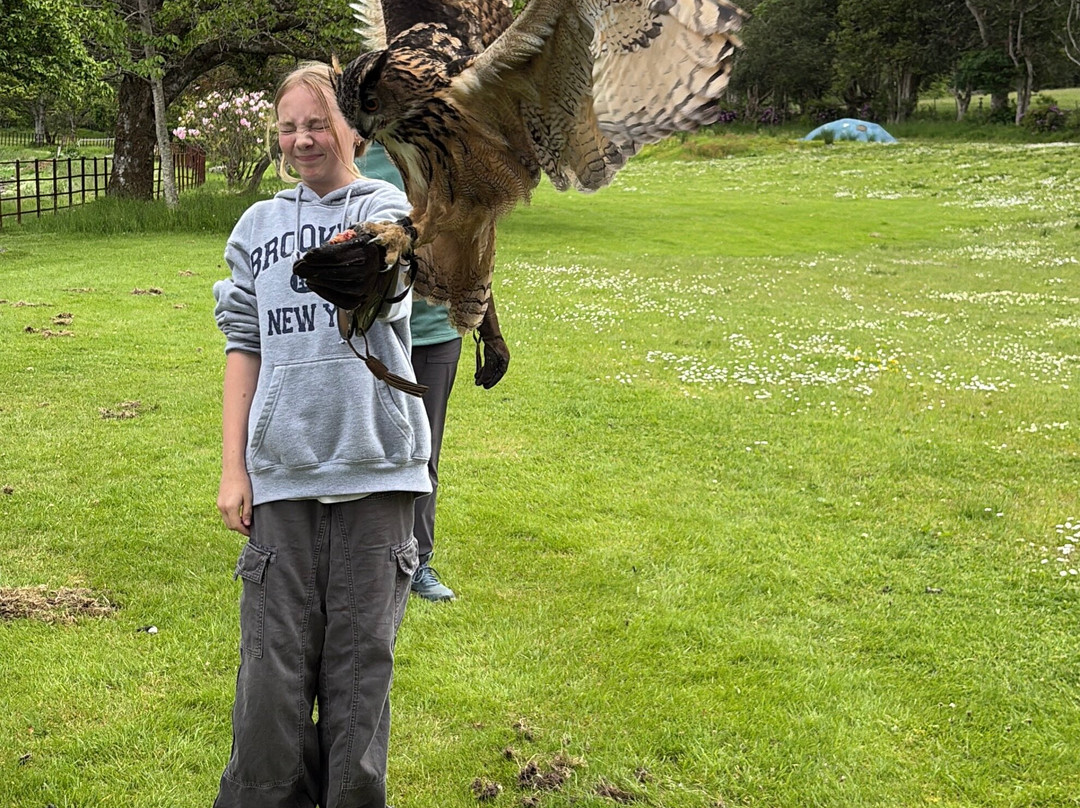 Shieldaig Falconry-盖尔洛赫必去景点