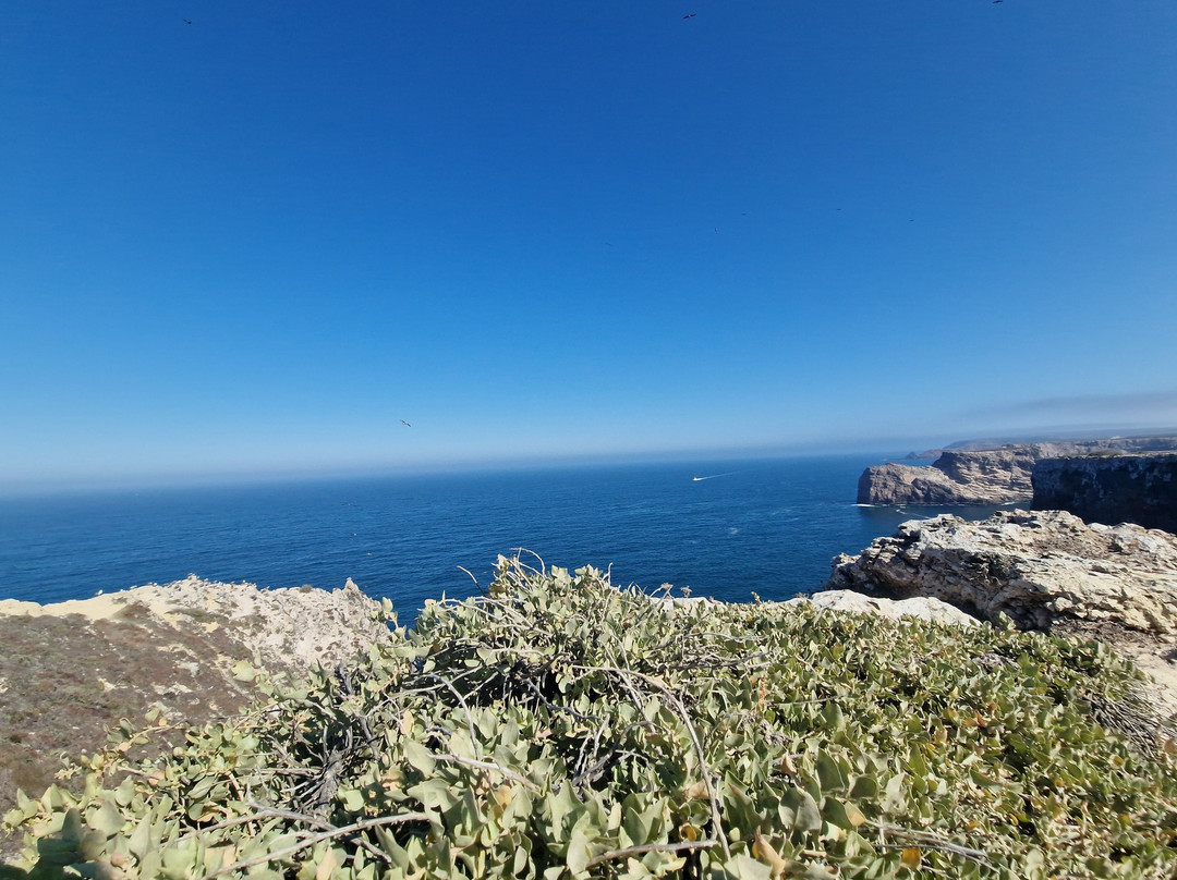 Farol do Cabo de Sao Vicente-萨格里什必去景点