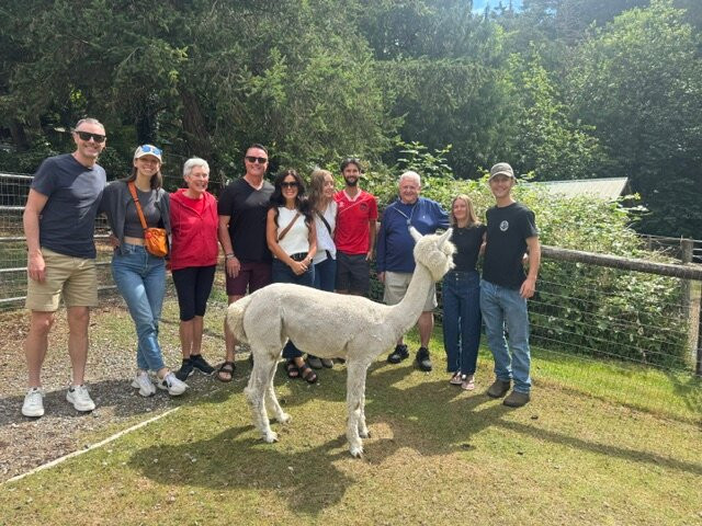 Millstream Miniature Llamas