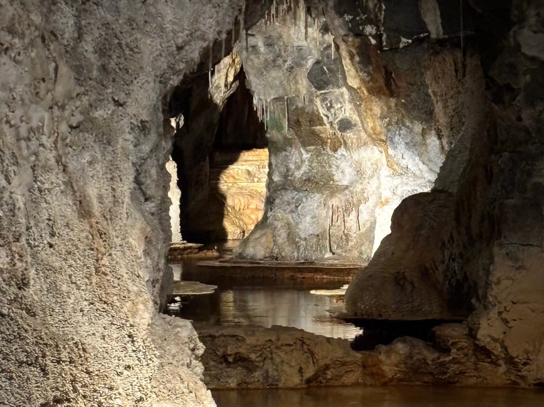 Fontaines Petrifiantes de Saint-Nectaire-Saint-Nectaire必去景点