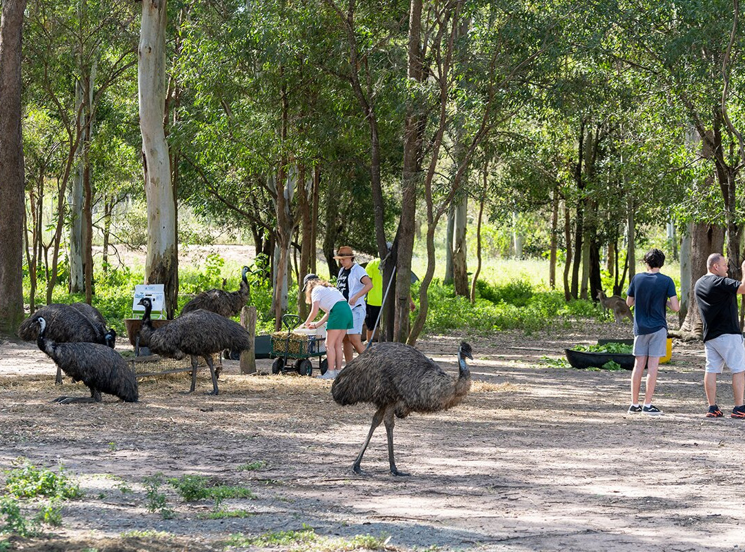 Fraser Coast Wildlife Sanctuary-Maryborough必去景点