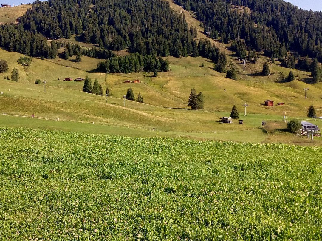 Alpe di Siusi-Alpe di Siusi必去景点