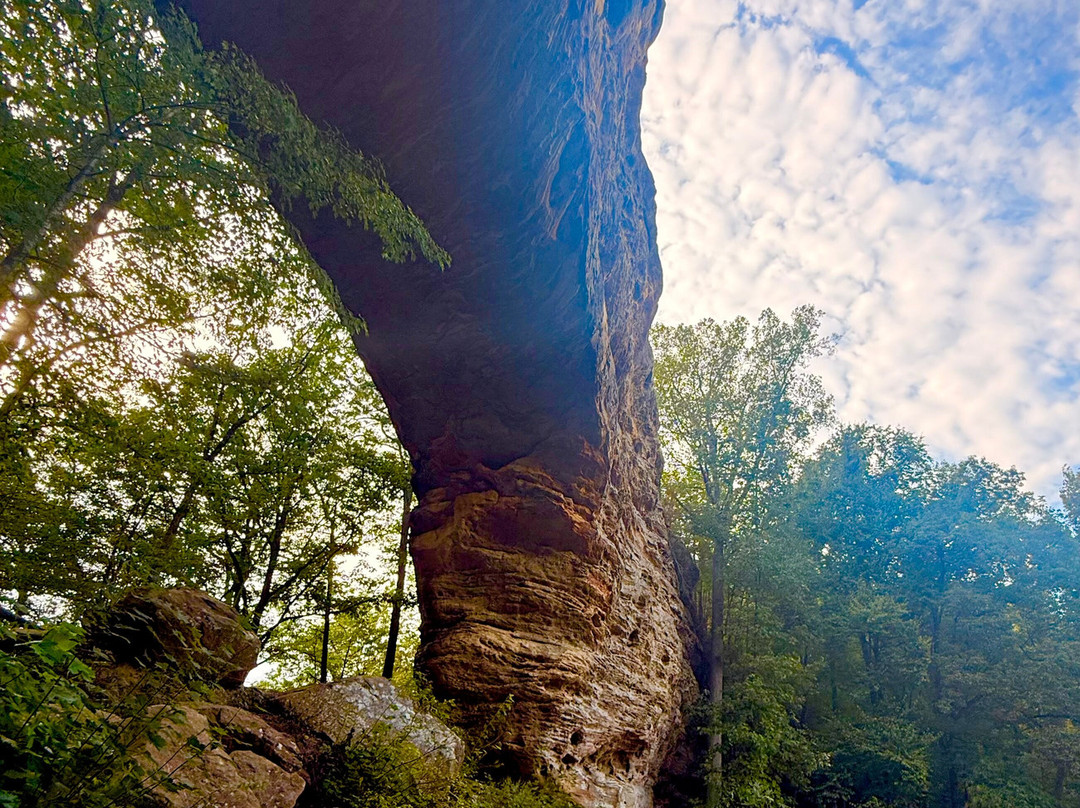 Natural Bridge State Resort Park-Slade必去景点