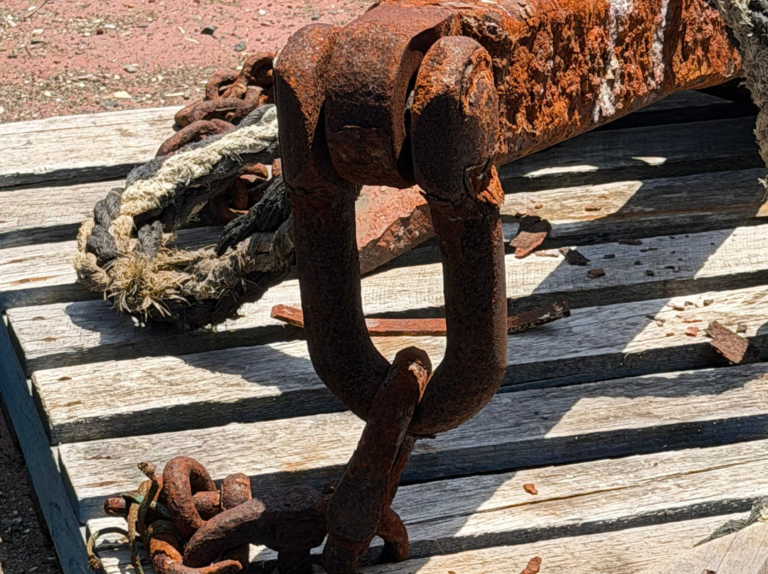 Ulladulla Harbour-阿勒达拉必去景点