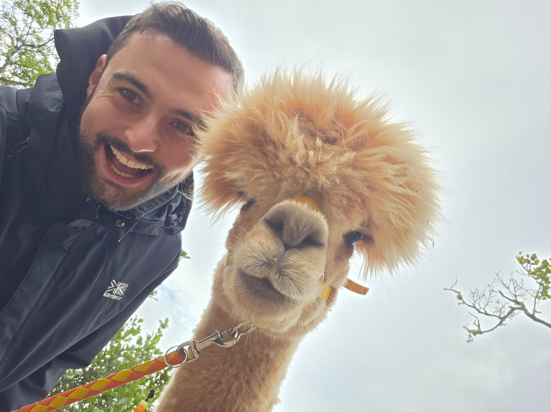 Loch Ness Alpacas-因弗内斯必去景点