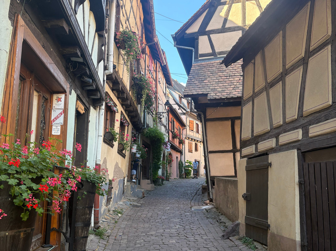 village d'Eguisheim-艾古斯汉必去景点