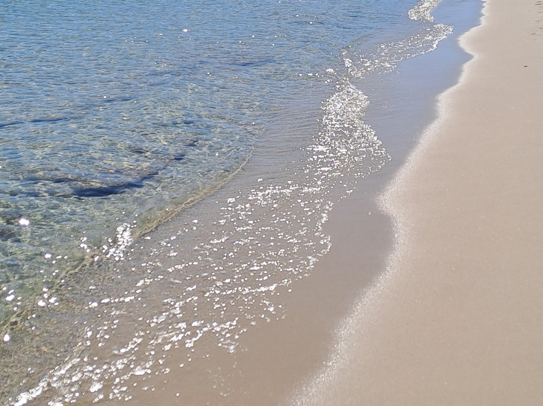 Xenia Beach-Paliouri必去景点