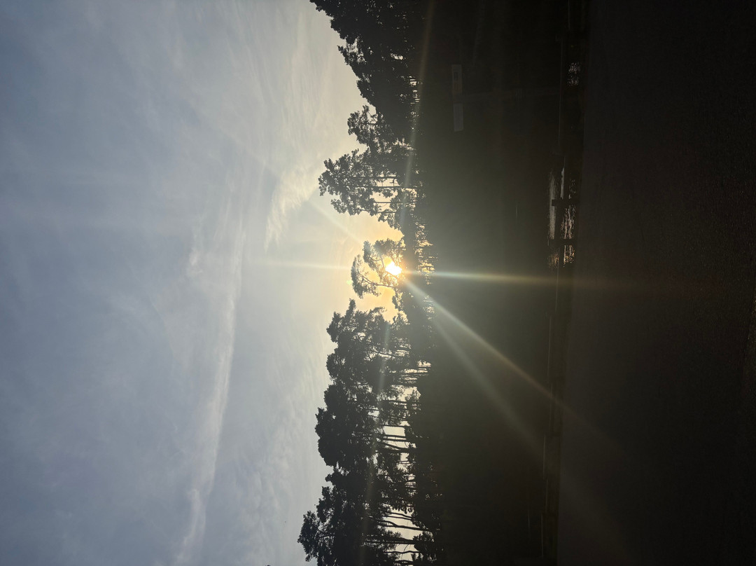 Center Parcs Woburn Forest主图