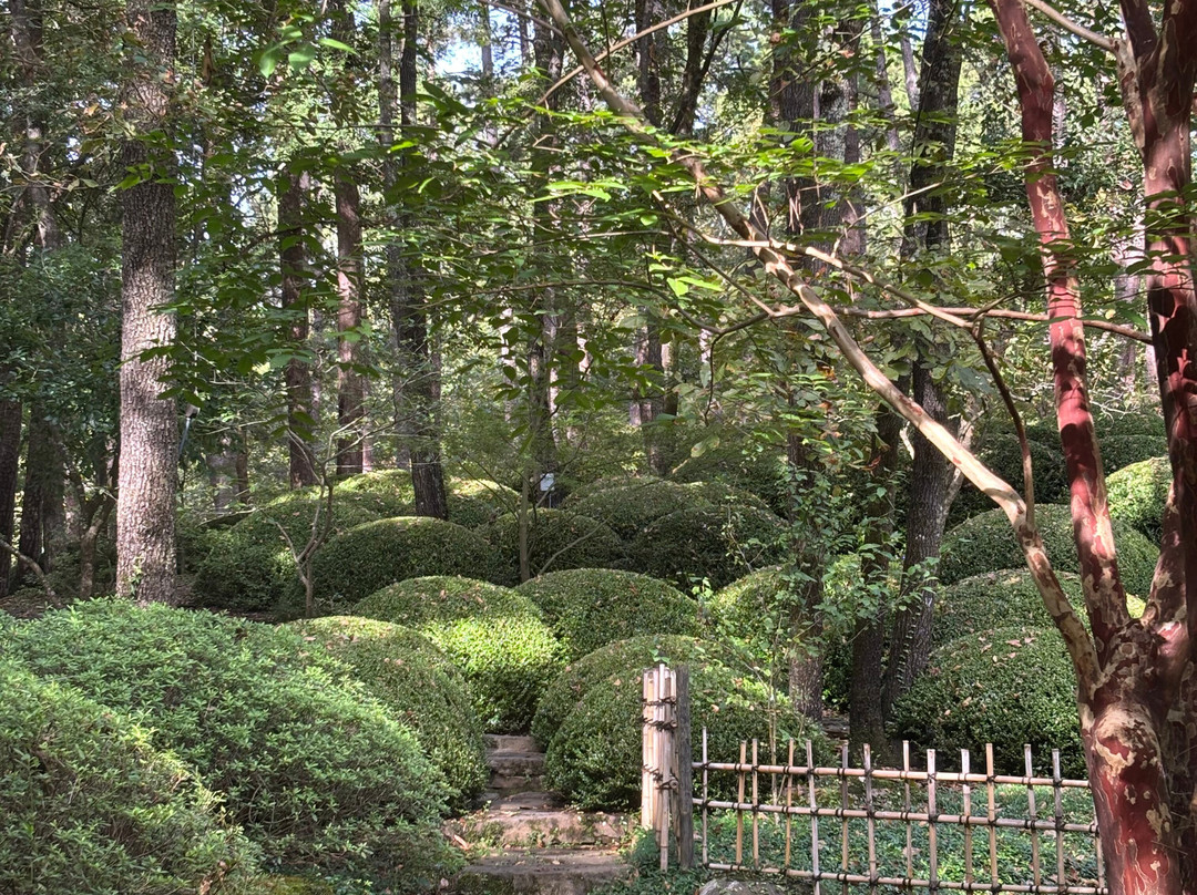 Garvan Woodland Gardens-温泉城必去景点