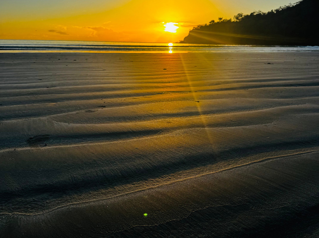 Hinchinbrook Island Cruises-卡德威尔必去景点