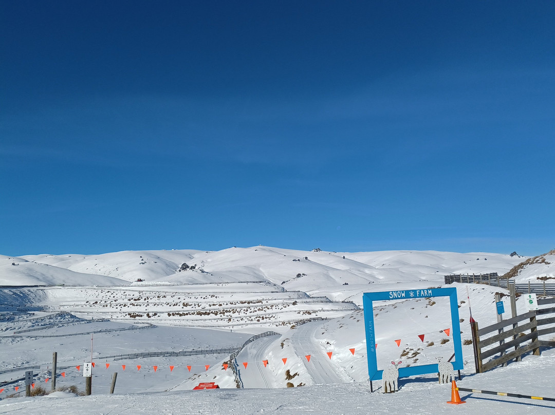 Snow Farm NZ-瓦纳卡必去景点