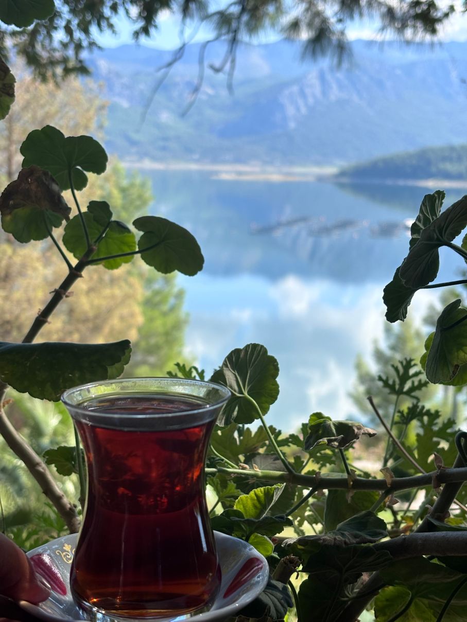 Botanik Gol Evleri-旅行者