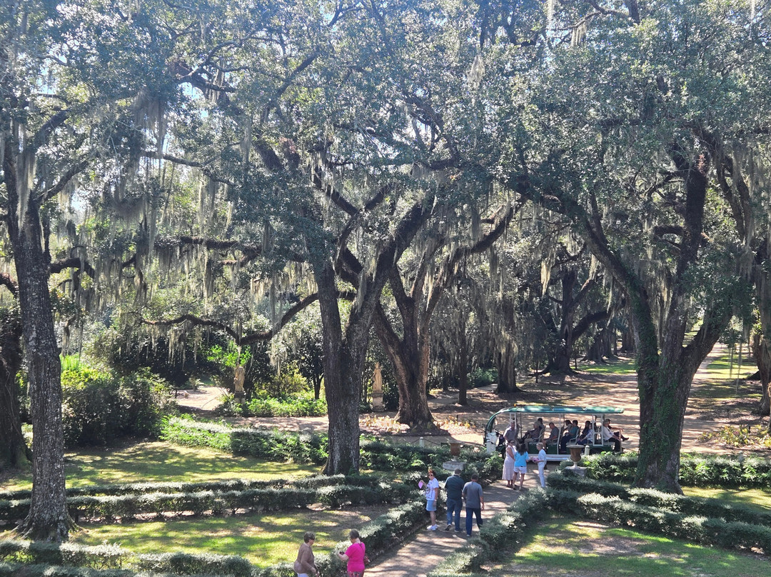 Rosedown Plantation State Historic Site-Saint Francisville必去景点