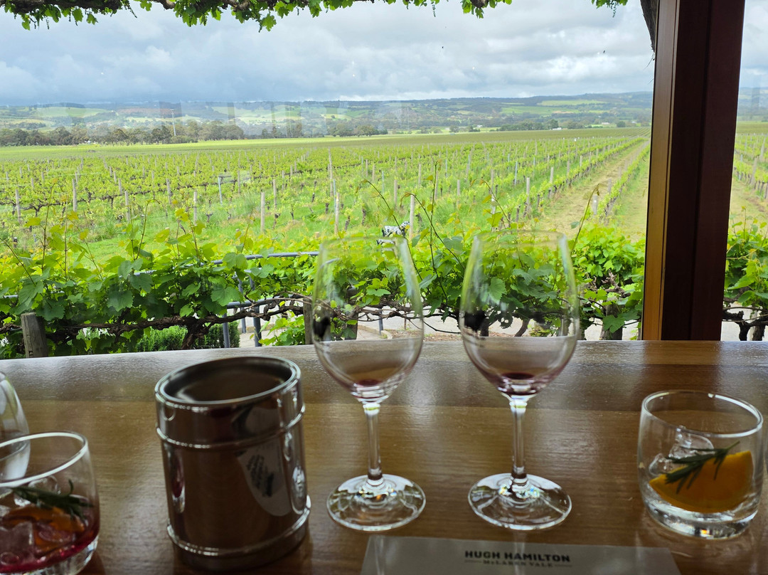 Hugh Hamilton Wines-麦克拉伦谷必去景点