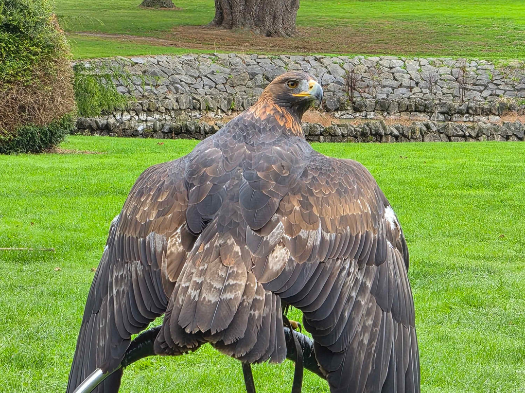 Newgrange Falconry-Julianstown必去景点